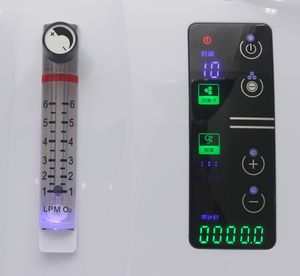 Fabriek Direct Huishoudelijke Medische Apparaten Oem Draagbare Pulsdosis Zuurstofconcentrator 1l 90% Het Genereren Van Zuurstof Voor Aquarium - Product Image 4