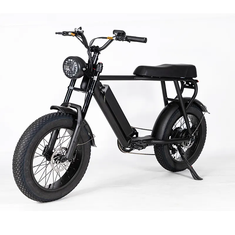 Electric Snow Bike Beach Bike E bikes Mountain Electric Bicycle with LCD Display