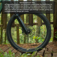 Sepeda Gunung Enduro Full Suspension 29 Inci 12 Speed Shimano Drivetrain Rem Cakram Hidrolik MTB