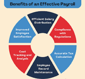 Nhân viên Biên Chế & Thuế Nộp đơn nền tảng phần mềm cho Mac/Linux doanh nghiệp dựa trên Internet sử dụng - Product Image 2