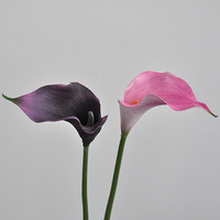 Hochwertige Künstliche Calla-Lilie 49CM für Hochzeitsdekorationen Heim-Arrangements EVA-Material Großhandel Künstliche Blumen