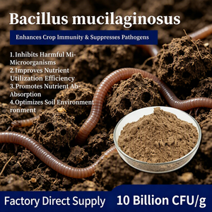 Agente Biologico Bacillus Mucilaginosus per il Miglioramento del Suolo, Fertilizzante Organico Solubile in Potassio, 10 Miliardi di Coloni, per l'Agricoltura - Product Image 1