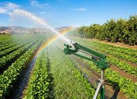 Pistolet d'irrigation turbo à vis sans fin FSW40 pour terres agricoles, fourni directement par l'usine