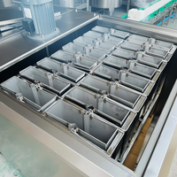 Machine à glaçons en acier inoxydable pour l'agriculture, la conservation des légumes frais, équipement de production de briques de glace industrielles