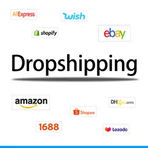 Shipping Cost to Good Shopify Business Dropshipping Agent Sourcing Dropshipping worldwide from China