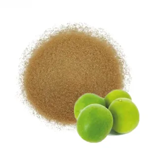 Natuurlijke Suikervervanger Monnikfruit Extract Mogroside V Mix Erythritol Poedervormige Gouden Monniksfruit Zoetstof