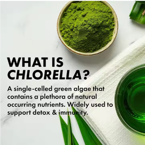 Tiêu hóa <span class=keywords><strong>Chlorella</strong></span> Spirulina suplementos dễ dàng hấp thụ cho lợi ích sức khỏe tối ưu - Product Image 3