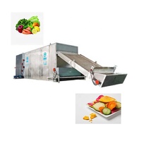 Machine de séchage de fruits et légumes automatique d'approvisionnement direct du fabricant, y compris le séchoir de kaki de fruits secs pour les boissons alimentaires