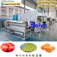 Baiyu commerciële fruitstoomschilmachine voor de verwerking van druivenproducten met hygiënisch ontwerp