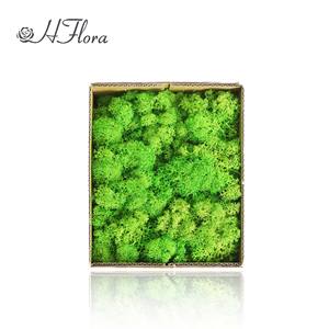 HFloral Vente en Gros – Boîte de 200g de Panneaux de Mousse Éternelle Verte Préservée pour Décoration Murale de Restaurant et Hôtel, Saint-Valentin, Longue Durée (3-5 ans) - Product Image 5