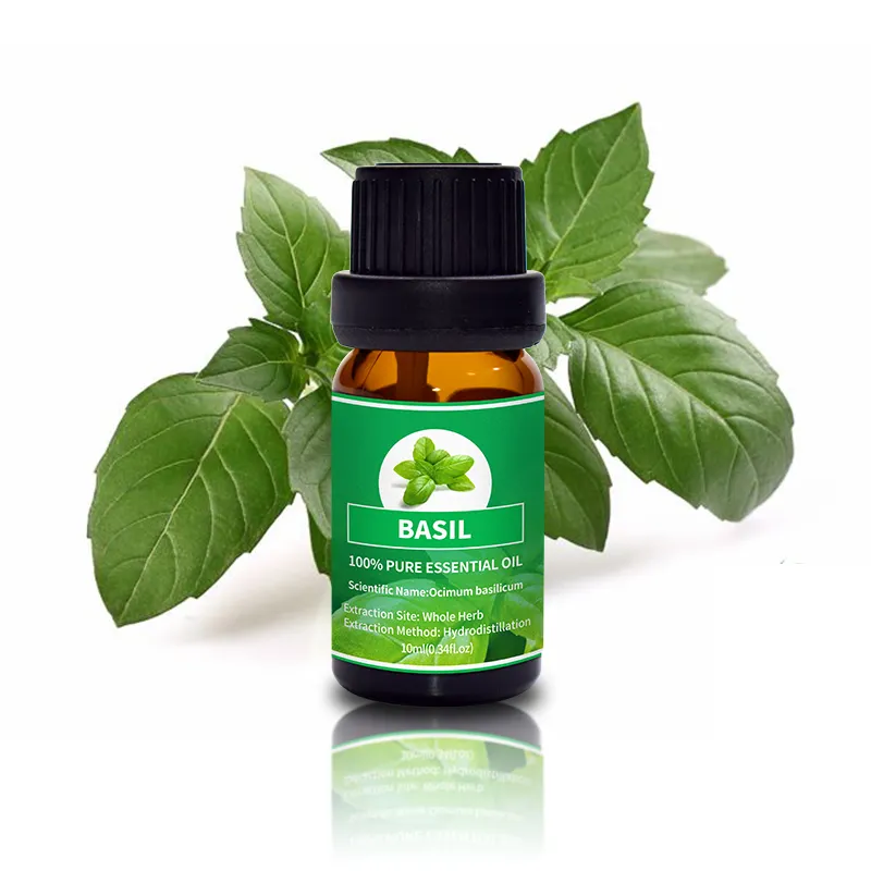 Best Seller Moisturizer 10ml Aromatherapy 100% Pure Absolute Aromas Basil Essential Oil