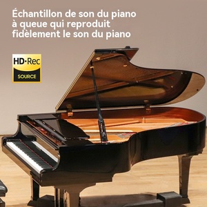 TERENCE TS-02 Clavier de <span class=keywords><strong>piano</strong></span> numérique portable 61 touches avec touches semi-lestées et design pliable pour usage en église - Product Image 2