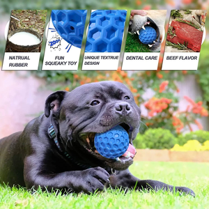 Indestructible caoutchouc écologique chien jouet grinçant étanche interactif mâcher balle agressif mâcheurs dents nettoyage poulet - Product Image 5