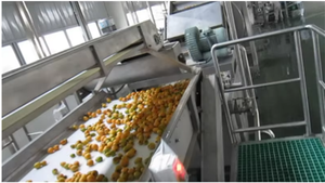 สายการ<span class=keywords><strong>ผล</strong></span>ิต<span class=keywords><strong>ผล</strong></span><span class=keywords><strong>ไม้</strong></span>และผัก<span class=keywords><strong>กระป๋อง</strong></span>ในกล่อง<span class=keywords><strong>ไม้</strong></span>มาตรฐาน - Product Image 4