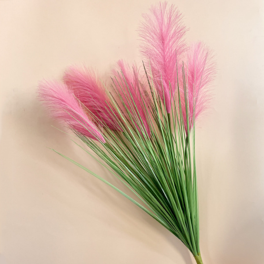 Rose/5 anches