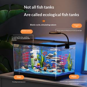 Fournisseur direct d'usine, aquarium transparent en forme de cylindre pour poissons et tortues, petit écosystème pour salon et balcon - Product Image 4