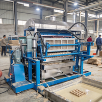 Machine de fabrication de barquettes à œufs en bagasse et sciure de bois, matière première recyclable, protection de l'environnement