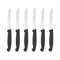 Ensemble de 6 couteaux à steak dentelés promotionnels, lame en acier inoxydable, manche en PP, boîte cadeau couleur