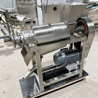 Juicer Buah Komersial untuk Rumah Tangga dengan Mesin untuk Mangga Anggur Jeruk Pir Apel-Fungsi Pemisah Daging Buah 220V/380V untuk Persiapan Makanan