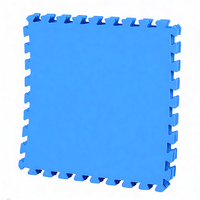 Tapis de puzzle en mousse EVA à zonage d'activités, vente en gros, tapis de puzzle emboîtable, rangement compact, protection contre les chutes, utilisation partout, qualité commerciale, tapis de piscine