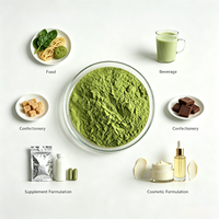 Poudre d'extrait de céleri en gros 10:1 20:1, matière première végétale hydrosoluble pour la formulation d'aliments et de boissons