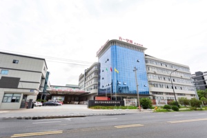 Design moderne Anti-moisissure Imperméable au feu Insonorisé WPC Revêtements muraux Isolation thermique Motif 3D Intérieur de la maison - Product Image 3