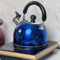 Zhenneng Bouilloire sifflante en acier inoxydable de qualité alimentaire Bouilloire à thé et café avec poignée en bakélite