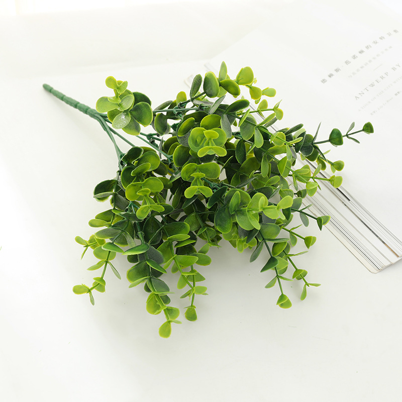 Large eucalyptus green