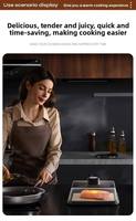 Plaque de Conduction Thermique ABS Y A8248 pour Steak, Plateau de Décongélation Rapide Intelligent à Température Constante