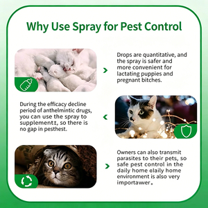 Brume répulsive anti-parasites pour <span class=keywords><strong>chiens</strong></span> et chats, pour extérieur, parcs, promenades, camping, protection longue durée de 12h, bouclier protecteur pour le pelage (OEM/ODM) - Product Image 2