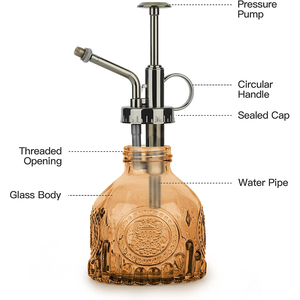 Glass <strong>Plant</strong> <strong>Mister</strong> 200ML Vintage Spray Bottle with Top Pump Fine Mist Garden Flower Sprayer Small Decorative Watering Can - Product Image 6