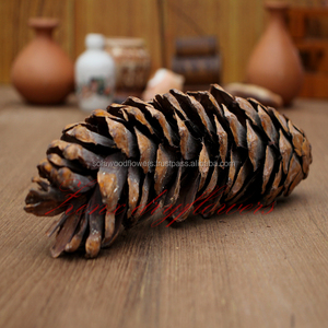 Vases en cloche de 7 pouces en pin sec, fleurs et plantes naturelles, décoration d'intérieur écologique de qualité supérieure, vente en gros, pour toutes les occasions - Product Image 3