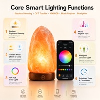 Lampe de sel de l'Himalaya intelligente Tuya, solution de contrôle de l'éclairage ambiant (activation/déactivation, gradation et réglage des couleurs), développement de carte PCBA