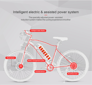 Vélo de montagne électrique 350D 24 pouces, livraison gratuite depuis un entrepôt UE, EBE2 EBIKE - Product Image 2