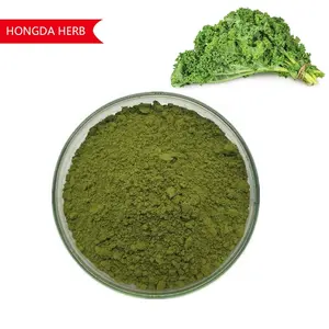 Kale Juice Powder Pure Vegetable Kale Leaf Powder Wholesale Kale Powder