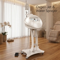 Appareil de beauté à jet d'oxygène pour un nettoyage en profondeur, restauration de l'élasticité de la peau, machine faciale à jet d'oxygène H3 pour spa, formation gratuite.