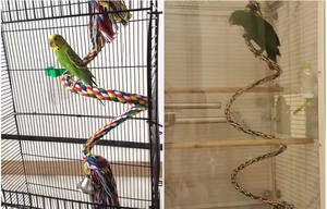 Giocattolo uccello corda posatoi arrampicata corda 100% Bungee giocattoli di cotone per l'uccello in piedi - Product Image 3