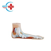 Modelo de Pie Normal/Pie Plano/Pie Arqueado HC-S274, Modelo Anatómico Humano de Pie para Uso Médico
