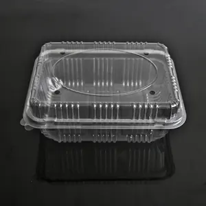 चीन निर्माता पालतू सीपी फल बॉक्स पैकेजिंग डिस्पोजेबल प्लास्टिक सलाद कंटेनर परिवहन के लिए जड़ी बूटी पैक