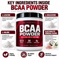 Poudre de BCAA pour adultes en marque blanche, récupération musculaire, testée par un tiers, sans sucre, sans OGM, sans gluten, faible teneur en glucides, certifiée GMP, OEM