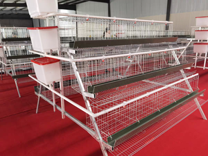 Sistema Industrial Completo de Ventilación y Control de Temperatura Automático, Jaula Moderna para Aves de Corral de Gran Capacidad - Product Image 4