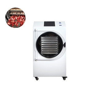 Máquina Popular de Liofilización de Alimentos Pequeños con PLC y Bomba de Vacío de Motor 110V/220V para Secado de Dulces, Vegetales, Frutas y Café - Product Image 3