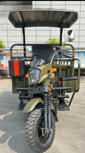 Triciclo de 5 Ruedas con Tracción en Todas las Ruedas, Motor de Gasolina de 300 CC Refrigerado por Agua, con Techo, Capacidad de Carga Superior a 400 KG - Product Image 3
