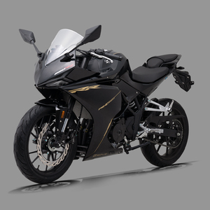Vente directe d'usine, moto sportive 250cc à double ABS, vitesse maximale de 160 km/h, pour piste de course - Product Image 5