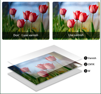 Printer UV Hybrid Digital Resolusi Tinggi untuk Pencetakan Akrilik, Logam, Keramik, Flatbed, dan Format Lebar