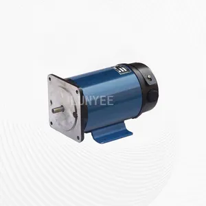 ZYT Serie PMDC gebürsteter 24 V 36 V 48 V 72 V 110 V 220 V 100 W 200 W 300 W 400 W 500 W 800 W elektrischer bürsten-DC-Motor