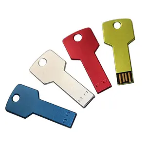 Key shaped 2.0 USB Flash Flashdisk Memory Stick 4GB 8GB 16GB 32GB custom PenDrive