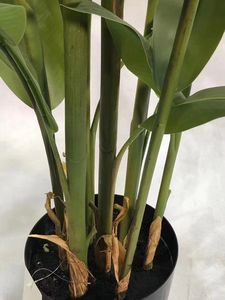 Grand 195CM de haut 6 tiges 27 feuilles 3 fleurs faux <span class=keywords><strong>Strelitzia</strong></span> plante artificielle oiseau du paradis en Pot pour décoration intérieure et extérieure - Product Image 4