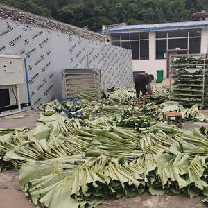 Chambre de séchage 3P directe usine pour feuilles de lotus, four de séchage à prix de gros pour thé aux fleurs - Product Image 4