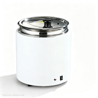 Marmite Chauffe-Soupe Électrique Intelligente en Acier Inoxydable 10L pour Buffets, Restaurants, Hôtels, Traiteurs, Banquets et Fêtes